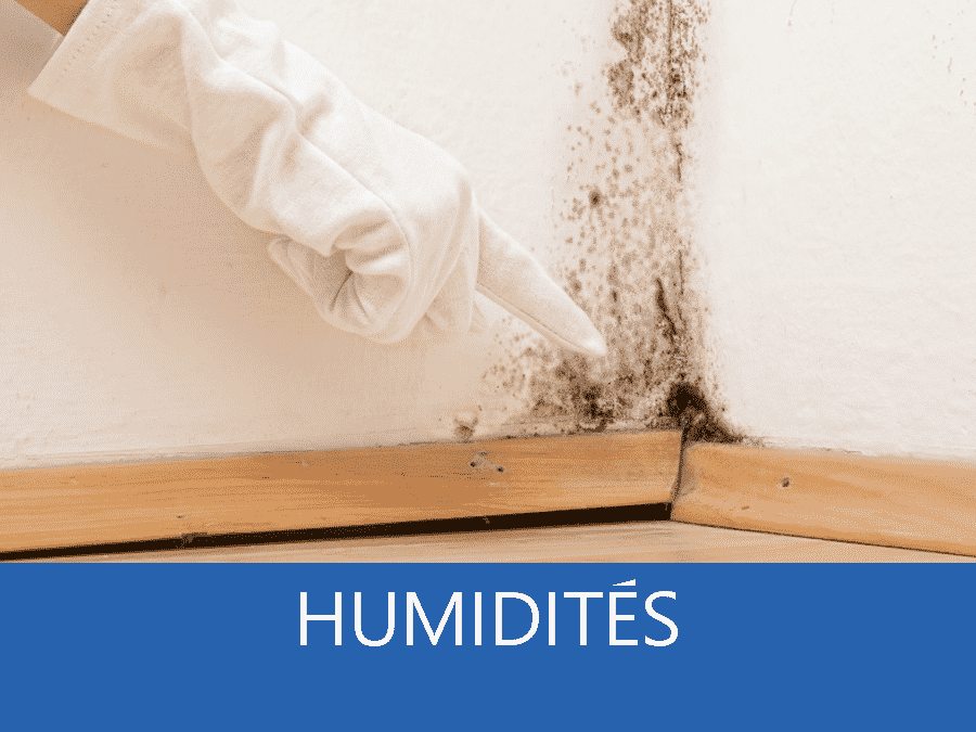 expertise humidité 49, expert humidité Angers, cause moisissure 50, solutions humidité Angers,